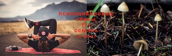 не бодяженный Алзамай