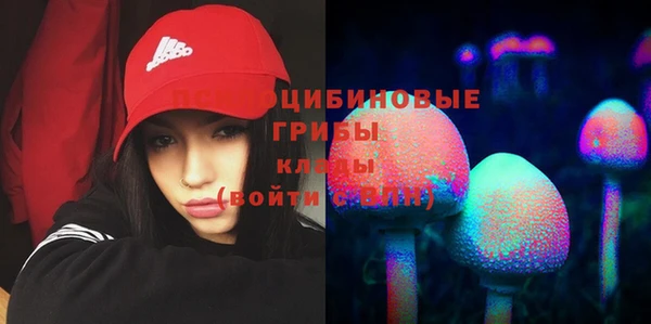 первитин Алексеевка