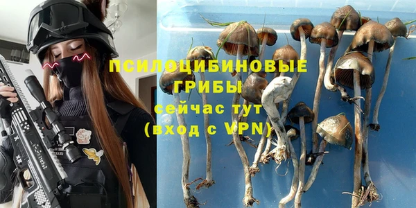 первитин Алексеевка