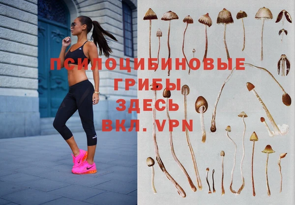 не бодяженный Алзамай
