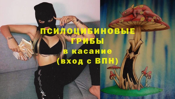 не бодяженный Алзамай