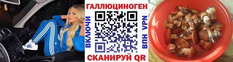 Псилоцибиновые грибы GOLDEN TEACHER  Георгиевск 